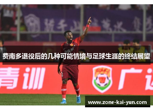 费南多退役后的几种可能情境与足球生涯的终结展望